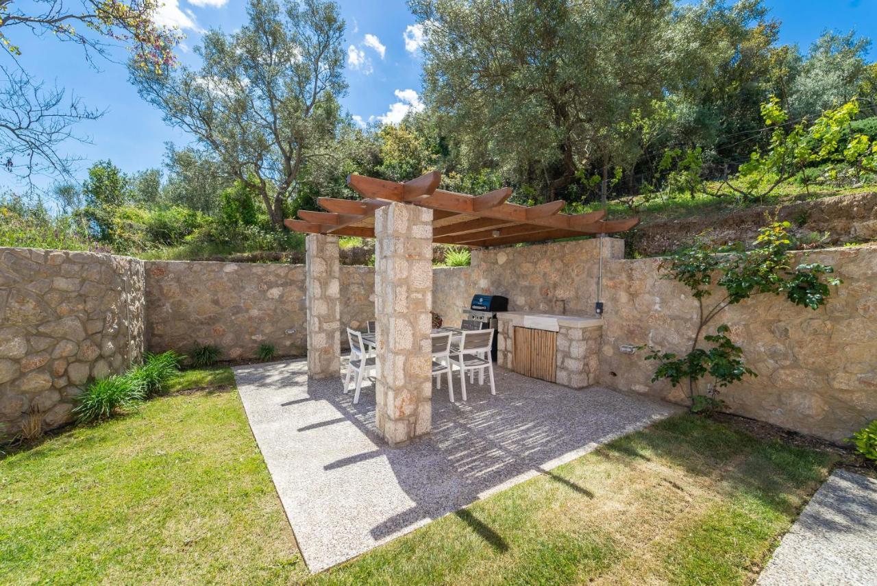 31 Blue Ionian Villas Apolpaina Buitenkant foto